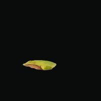 mango leaf disease project thumbnail