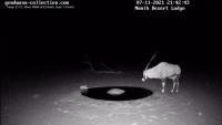 Namibia-Animal project thumbnail