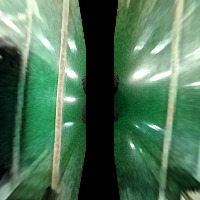 bev project thumbnail