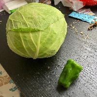 식재료 신선도 평가 project thumbnail