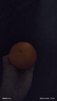 Smart Citrus Fruit sorter project thumbnail