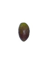 olives project thumbnail
