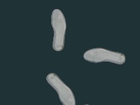 insole_2 project thumbnail
