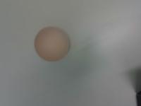 hasakiyaki project thumbnail