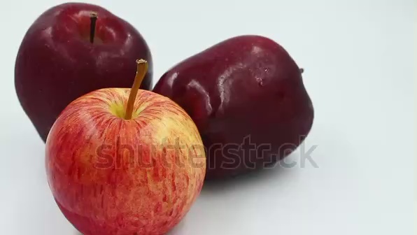 Apple Object Detection Dataset by Pham Van Hung