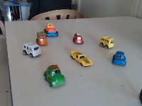 Dataset Image