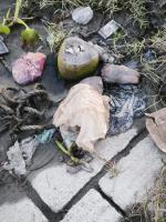 Marine Floating Plastic Detectio project thumbnail