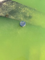 Marine Floating Plastic Pollutio project thumbnail