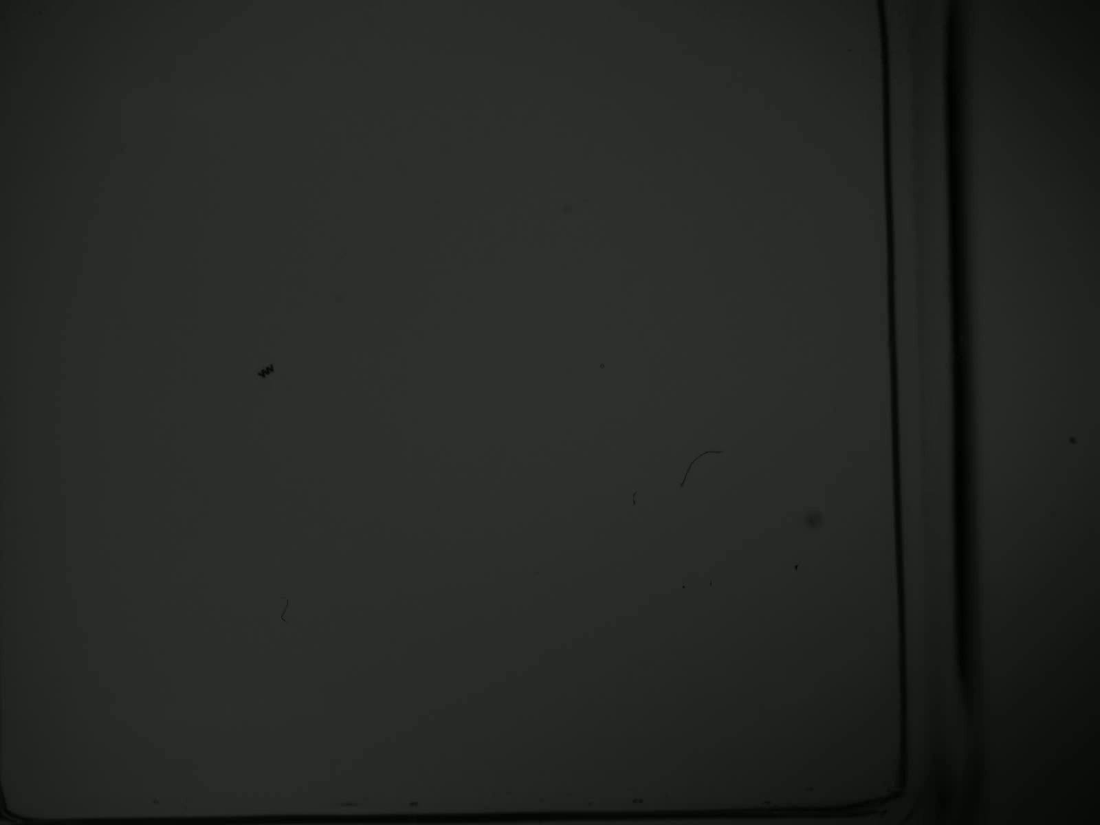 Stmd Cpu Nano-STMD Object Detection Model by micronano robot