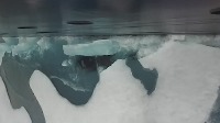ice-floes project thumbnail
