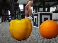 Dataset Image