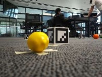 Dataset Image