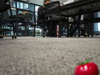 Dataset Image