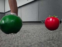 Dataset Image