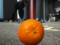 Dataset Image