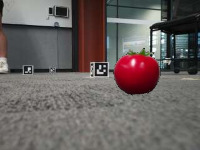 Dataset Image