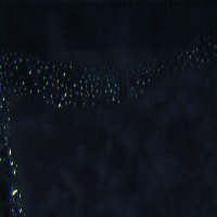 nodosité project thumbnail