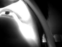Tianying_binocular_pupil_0120 project thumbnail