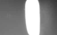 Tianlu_cell_ROI project thumbnail