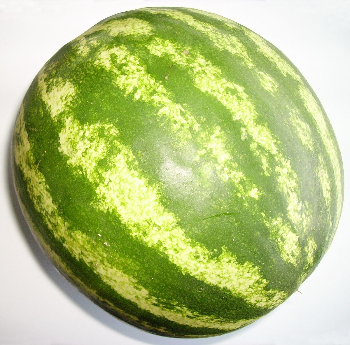 watermelon Object Detection Dataset by Nattaphong