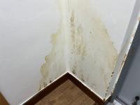 mold classification project thumbnail