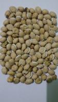 White Beans project thumbnail