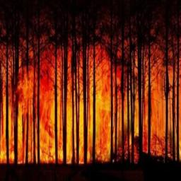 labelled-fire-image Dataset by riya
