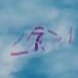 AFS project thumbnail