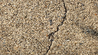 crack project thumbnail