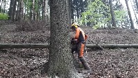 vid6 project thumbnail