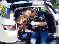 Dataset Image