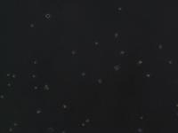 Find L929s 2 project thumbnail