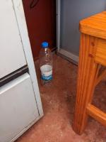 Bottle auto datasets project thumbnail
