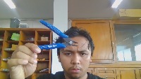 Dataset Image