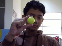 Dataset Image