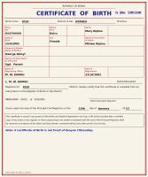 keanyan birth certificates project thumbnail