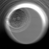 Oocyte_Embryo Quality pridection2 project thumbnail