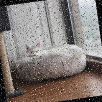 Dataset Image