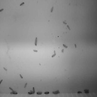 111 project thumbnail