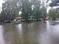 water logging project thumbnail