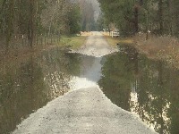 water logging project thumbnail