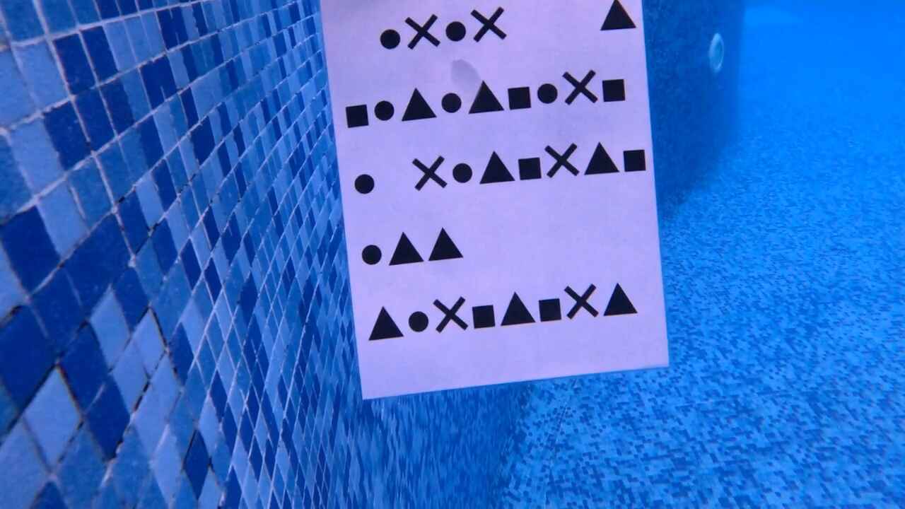 more Shape Object Detection Model by Mahe
