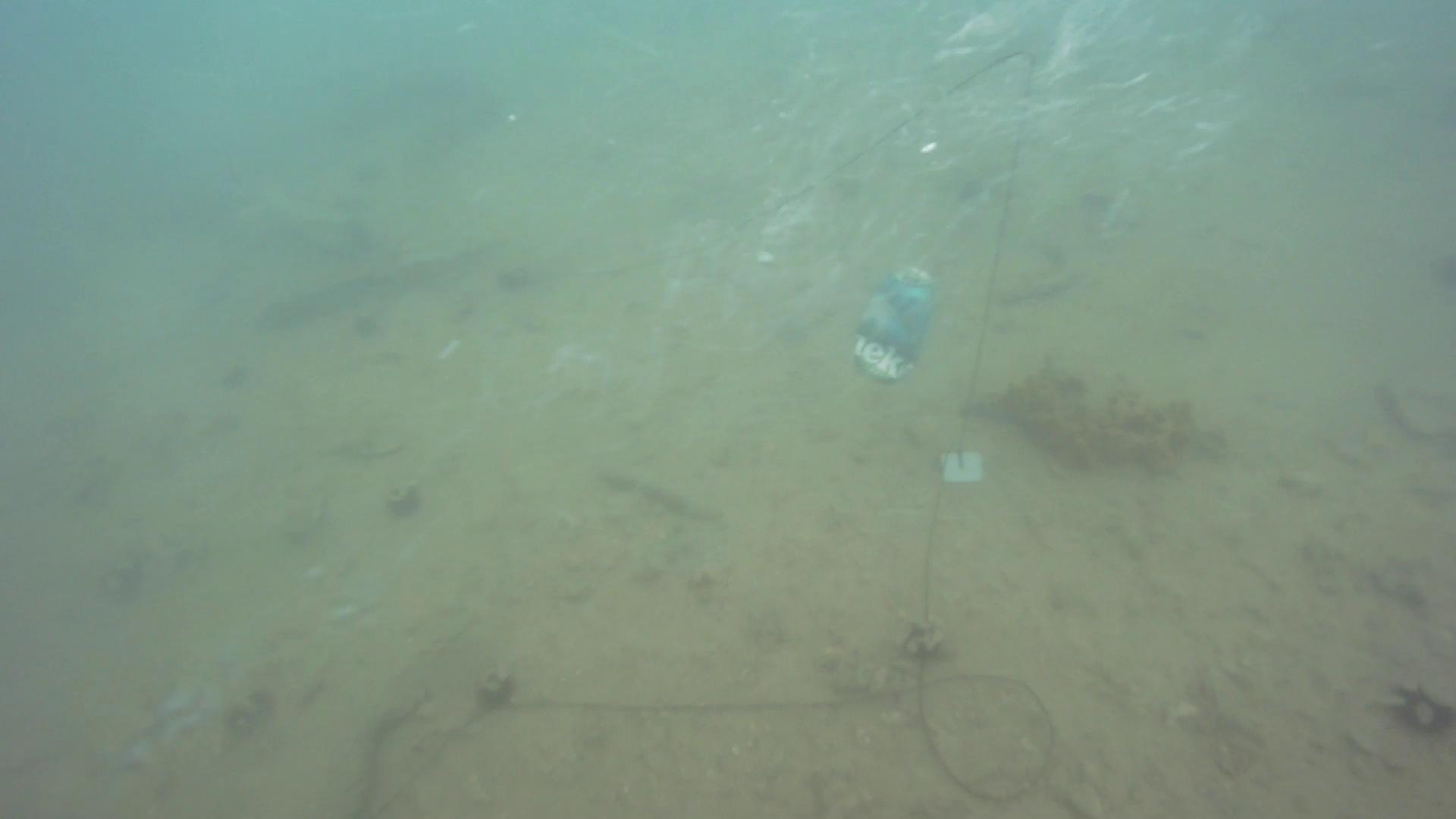 Underwater Marine Litter Instanc Instance Segmentation Dataset by ...