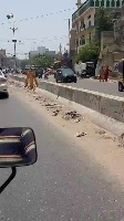 Roadblocks project thumbnail