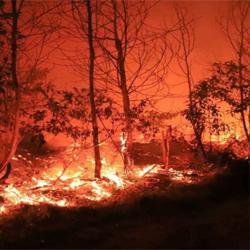 Wildfire detection Project Object Detection Model by Winter