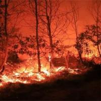Wildfire detection Project project thumbnail