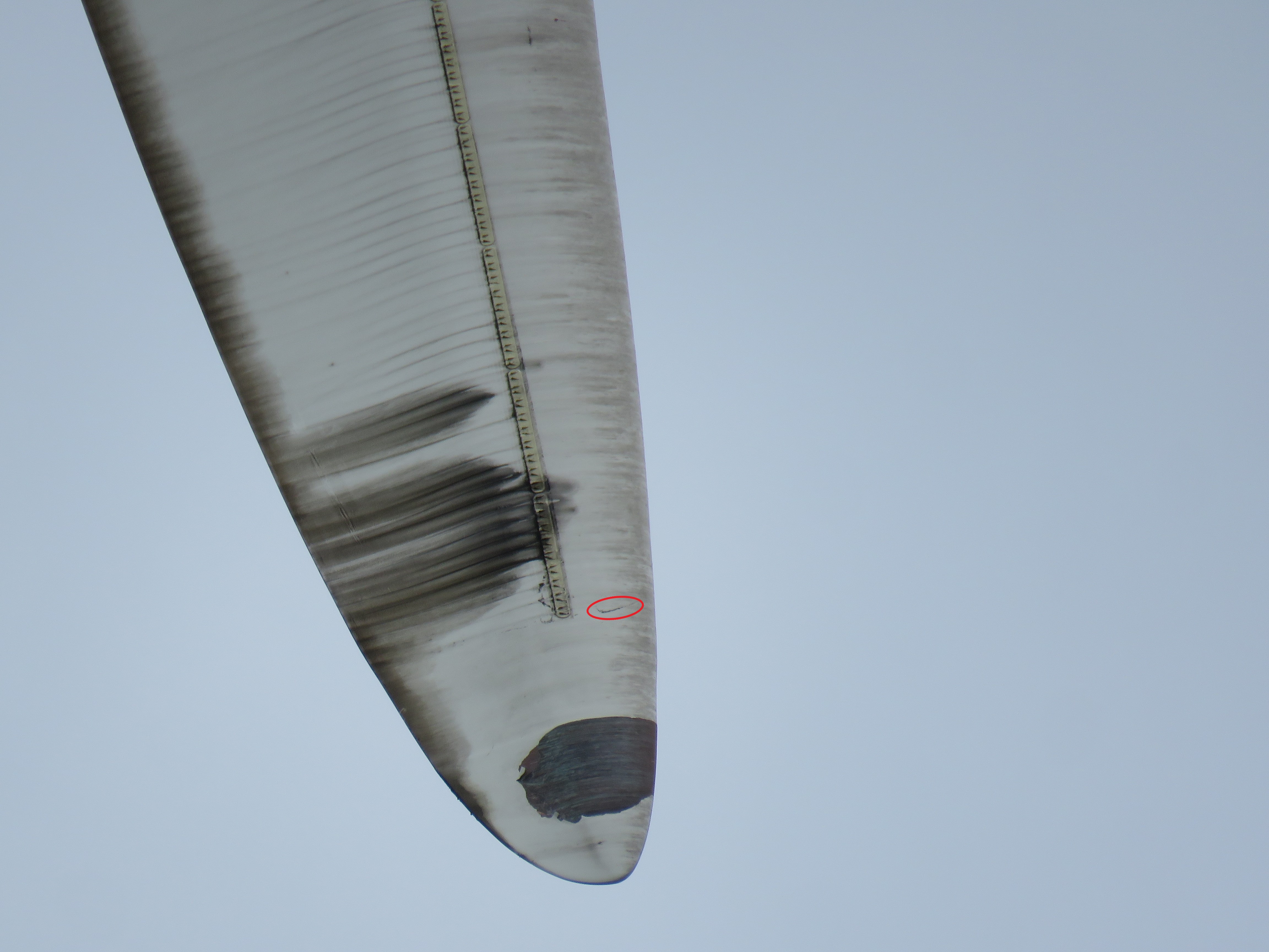 Damage Detector Object Detection Dataset by wind turbine blade damage ...