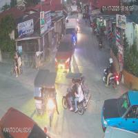 Dataset Image