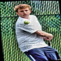 Dataset Image