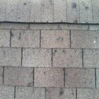Shingle Damages project thumbnail